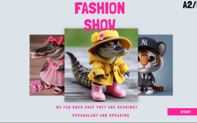 Fashion Show – clothes